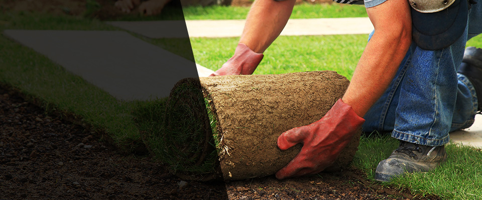 Sheldon Landscapers
